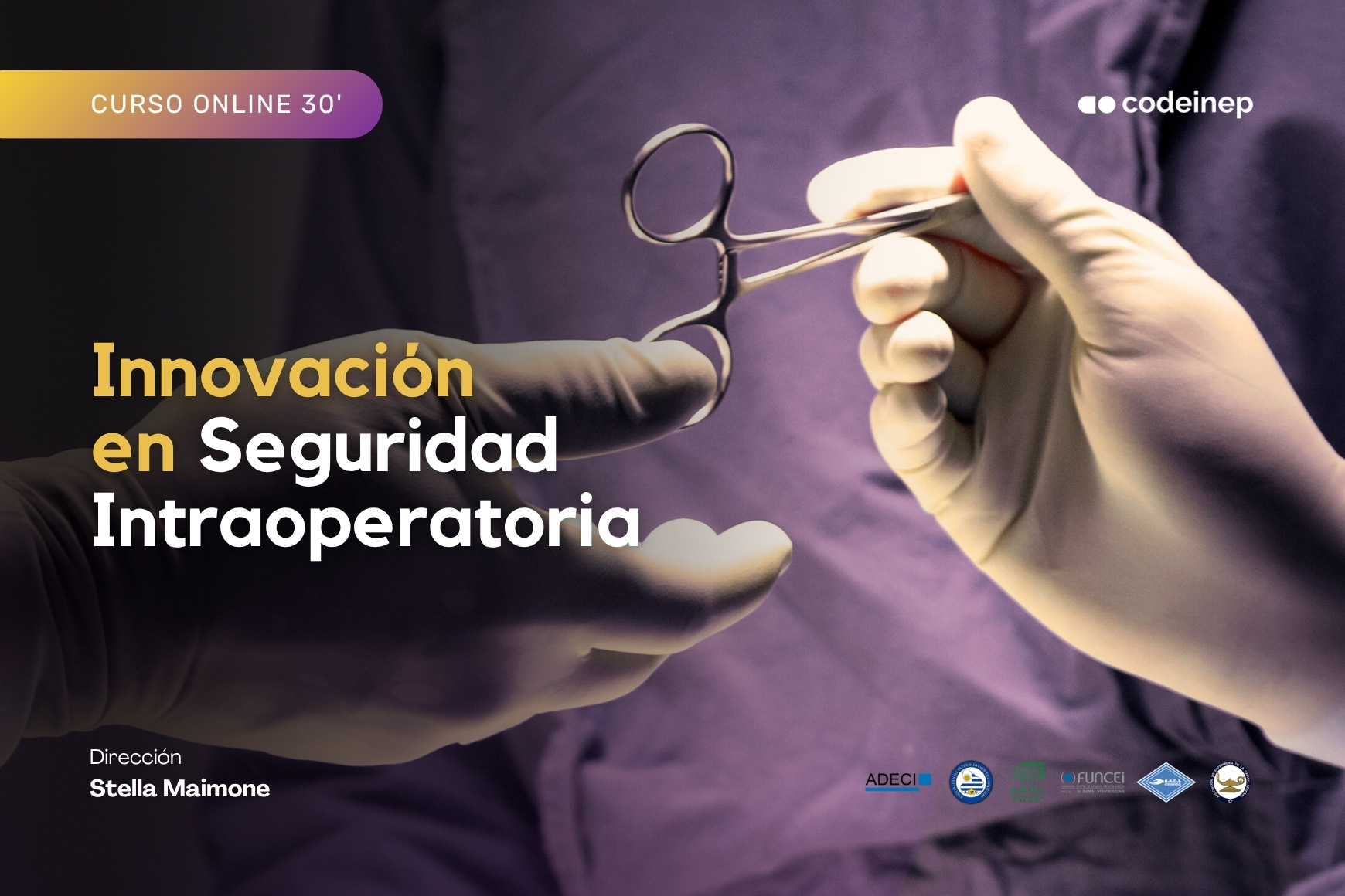 Learnpress Portadas de Cursos 2024 (2) Learnpress Portadas de Cursos 2024 (2)