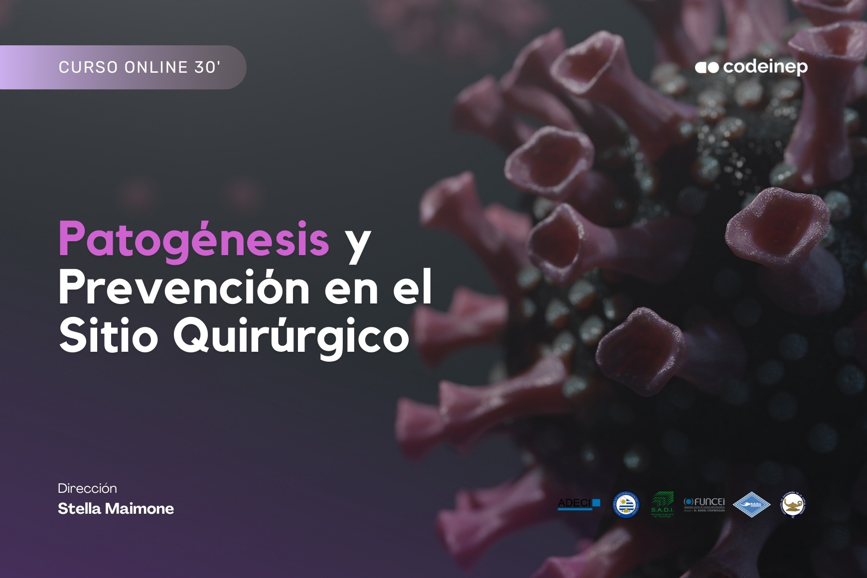 Learnpress Portadas de Cursos 2024 (2) Learnpress Portadas de Cursos 2024 (2)