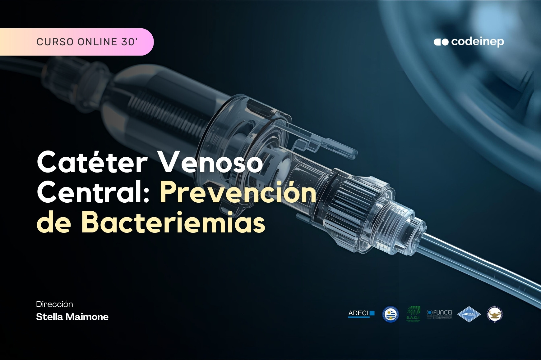 Learnpress Portadas de Cursos 2024