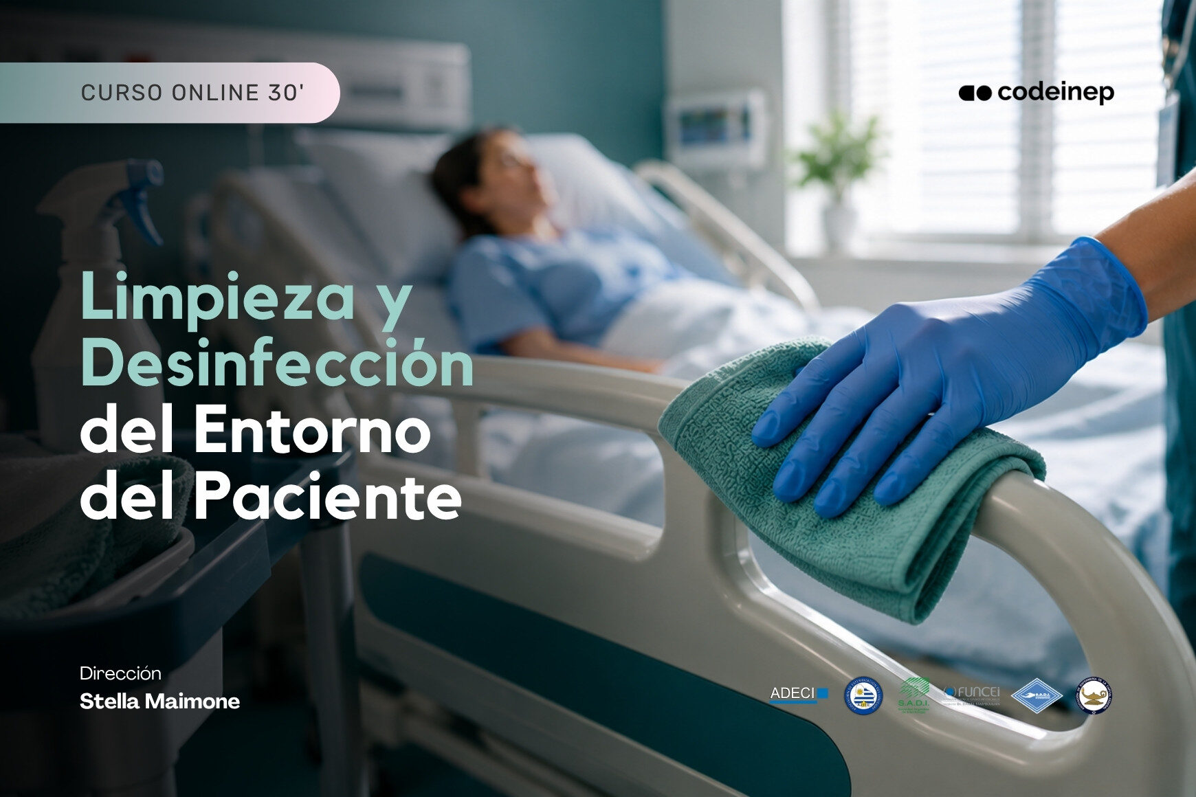 miniatura del curso