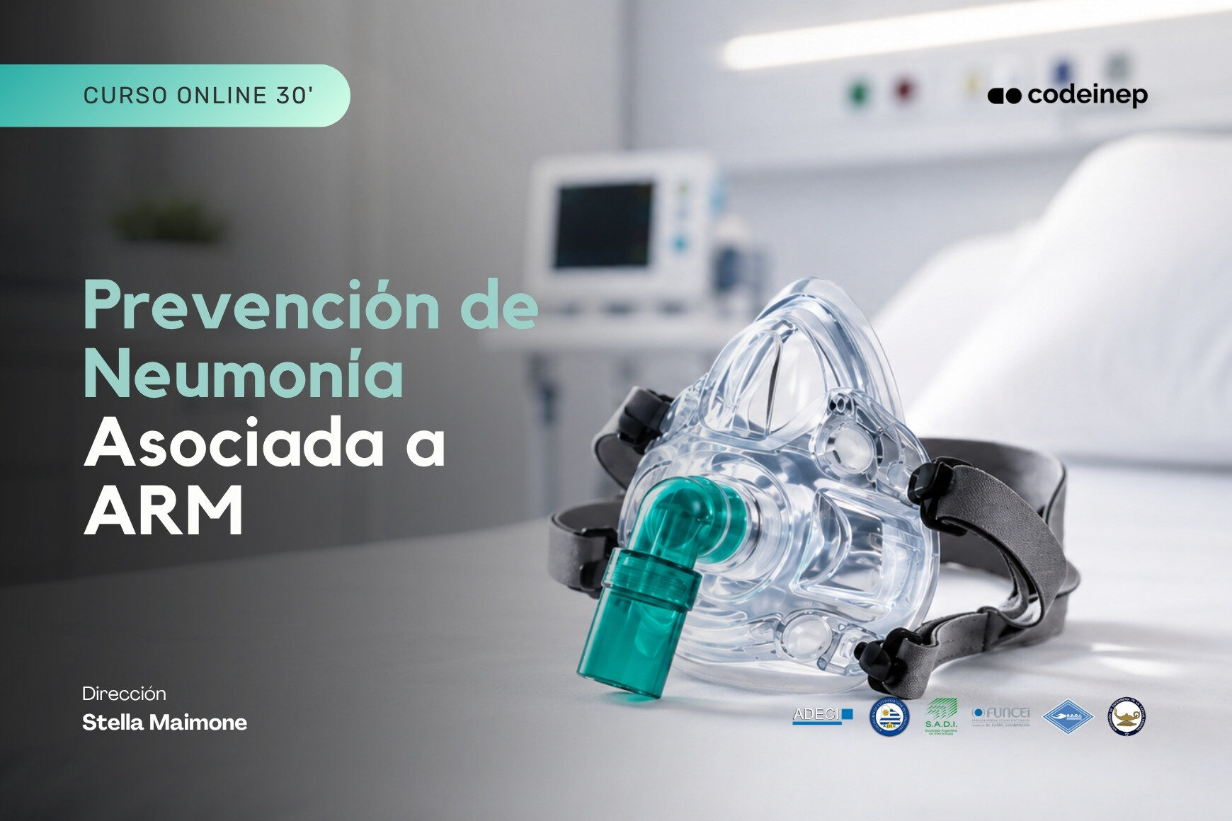 miniatura del curso